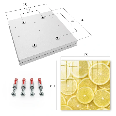 Nyckelbox Citronskivor