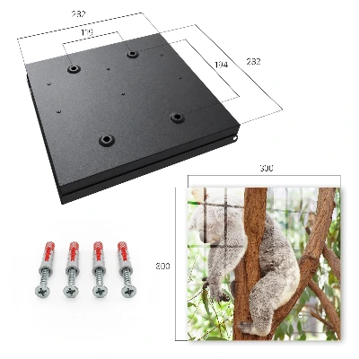 Snygga nyckelskåp Koala-avslappning
