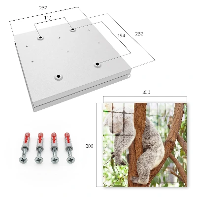 Snygga nyckelskåp Koala-avslappning