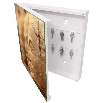 Nyckelskåp Historisk skulptur