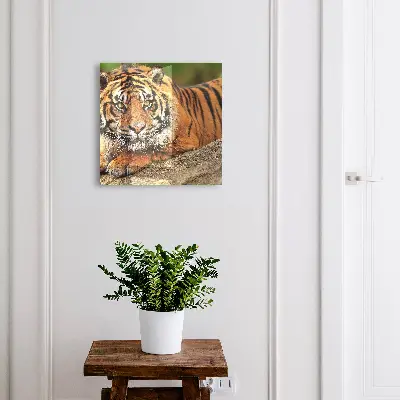 Nyckelbox Tiger vilar