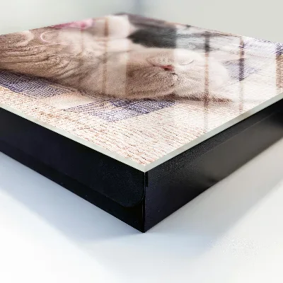 Snygga nyckelskåp Sovande kattunge