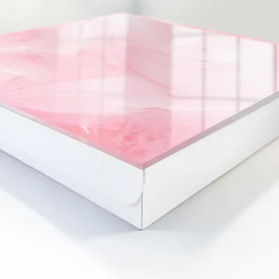 Nyckelbox Rosa fjädrar