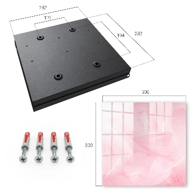 Nyckelbox Rosa fjädrar