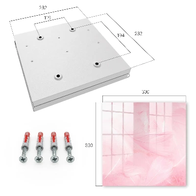 Nyckelbox Rosa fjädrar