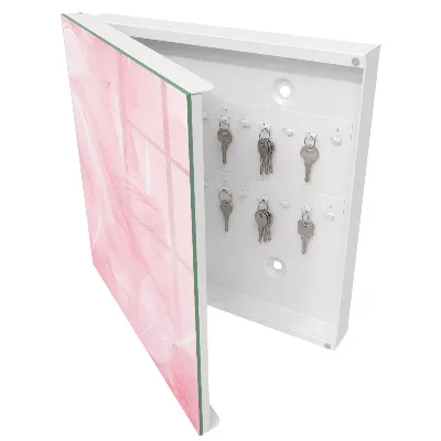 Nyckelbox Rosa fjädrar