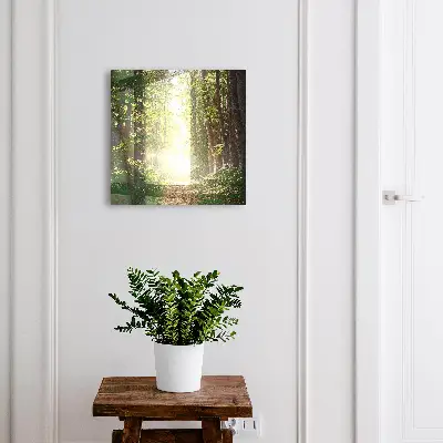 Nyckelskåp Skogslandskap