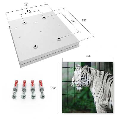 Nyckelskåp Vit tiger