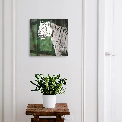 Nyckelskåp Vit tiger