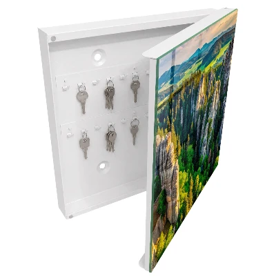 Nyckelbox Stenar och skog