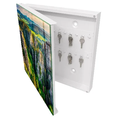 Nyckelbox Stenar och skog