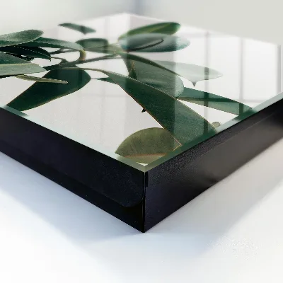 Snygga nyckelskåp Ficusblad