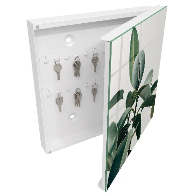 Snygga nyckelskåp Ficusblad