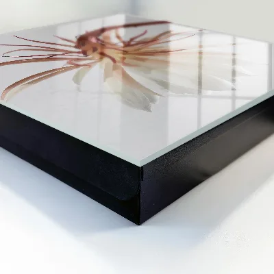 Nyckelbox Naturens elegans