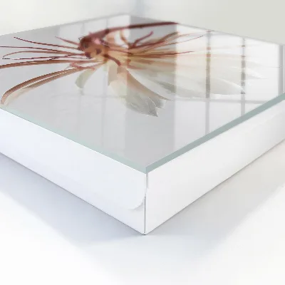 Nyckelbox Naturens elegans