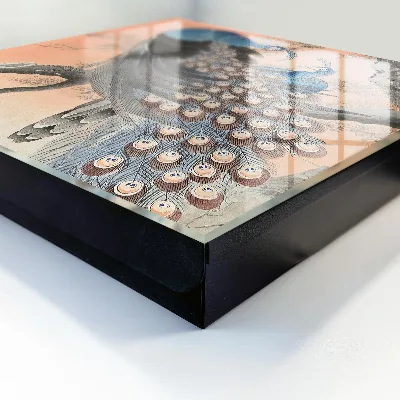 Nyckelbox i motivet påfågelskönhet