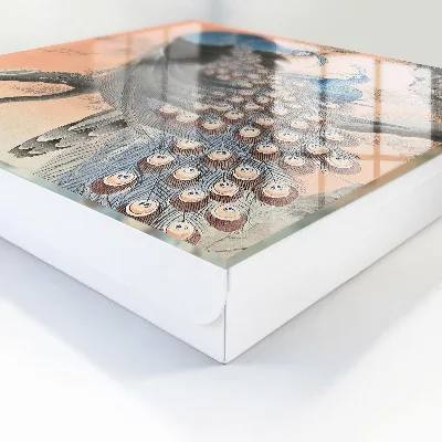 Nyckelbox Påfågelskönhet