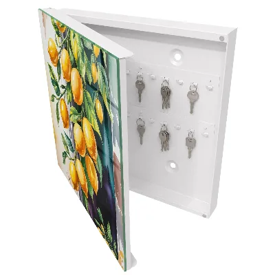 Nyckelskåp Citroncharm snygg design