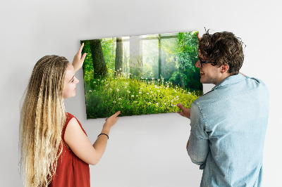 Magnetická tabuľa pre deti Vårens natur