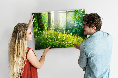 Magnetická tabuľa pre deti Vårens natur