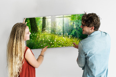 Magnetická tabuľa pre deti Vårens natur