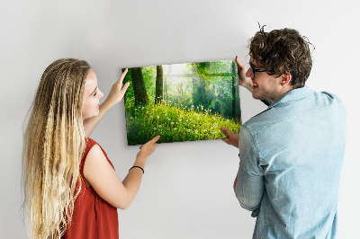 Magnetická tabuľa pre deti Vårens natur