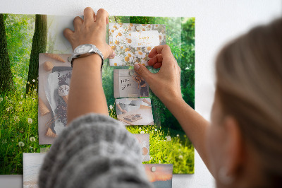 Magnetická tabuľa pre deti Vårens natur