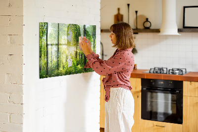 Magnetická tabuľa na magnetky Naturskogsträd