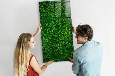 Magnetisk rittavla med motiv av blad