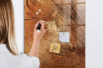 Magnetisk rittavla med motiv av tvärsnitt av trädstam