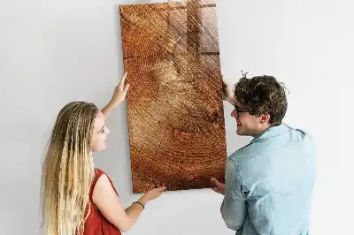 Magnetisk rittavla med motiv av tvärsnitt av trädstam