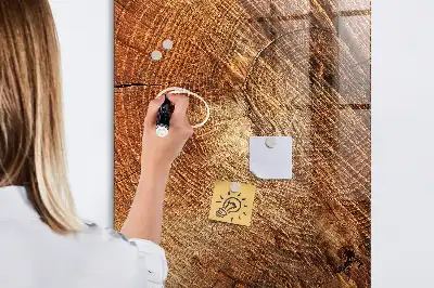 Magnetisk rittavla med motiv av tvärsnitt av trädstam