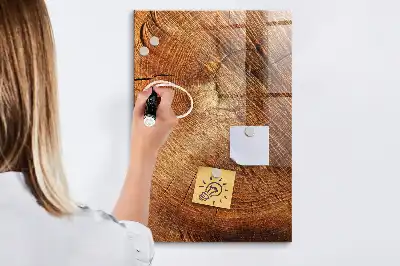 Magnetisk rittavla med motiv av tvärsnitt av trädstam
