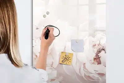Magnettavla för ritning Pioner