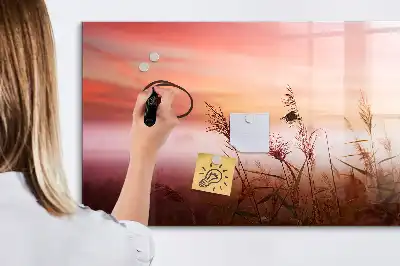 Magnetisk rittavla disig morgon
