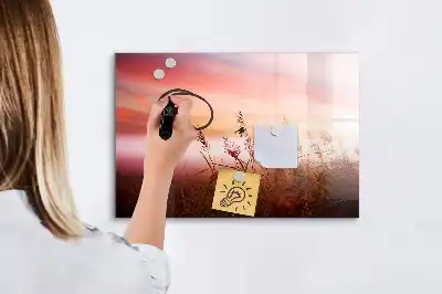 Magnetisk rittavla disig morgon