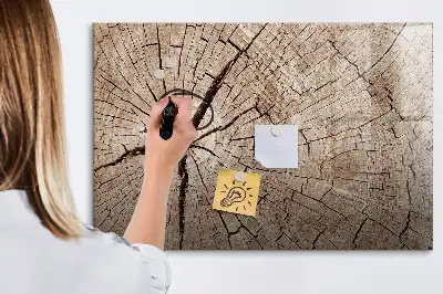 Magnetisk rittavla gammal trädstam