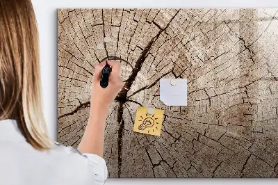 Magnetisk rittavla gammal trädstam