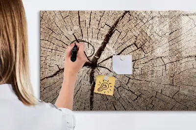 Magnetisk rittavla gammal trädstam