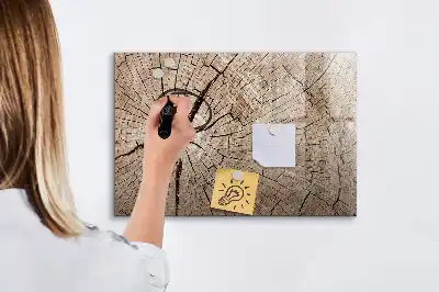 Magnetisk rittavla gammal trädstam