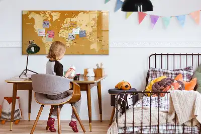 Världskarta magnetisk med penna