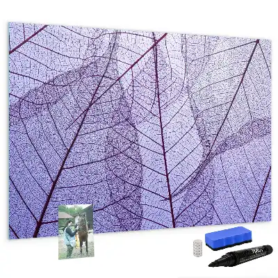 Magnetisk rittavla Naturens blad