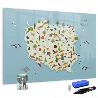 Magnetisk rittavla med karta över polska djur