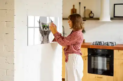Magnetisk tavla med penna motiv med sukkulenter med glasögon