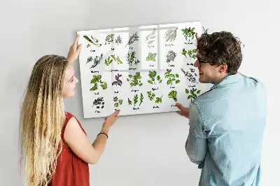 Magnetisk tavla med penna trädarter