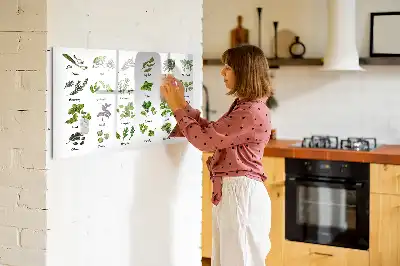 Magnetisk tavla med penna trädarter
