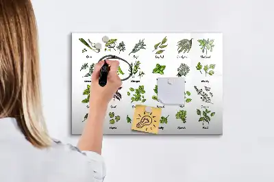 Magnetisk tavla med penna trädarter