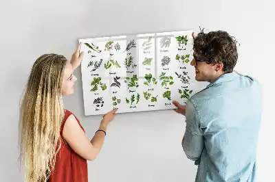 Magnetisk tavla med penna trädarter