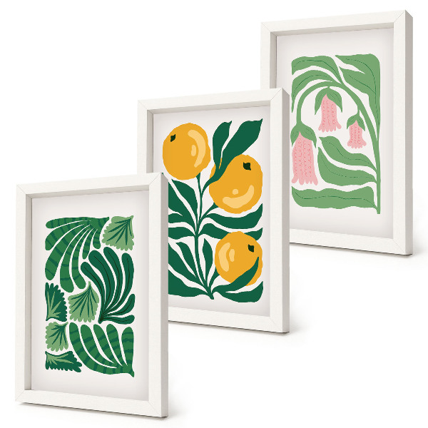 Posterpaket Minimalistiska växtmönster med frukter och blad