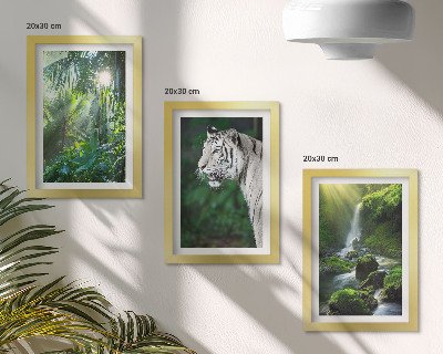 Tavelvägg med 3 tavlor Djungel med en vit tiger och ett vilt vattenfall